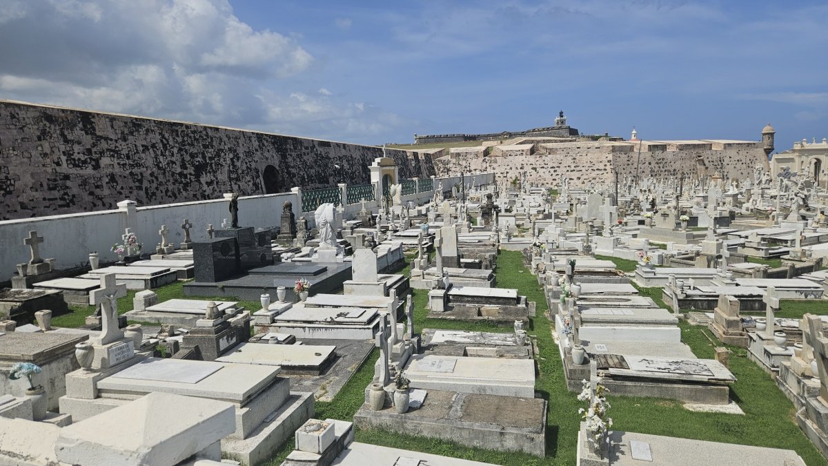 Starý hřbtov pod hradbami