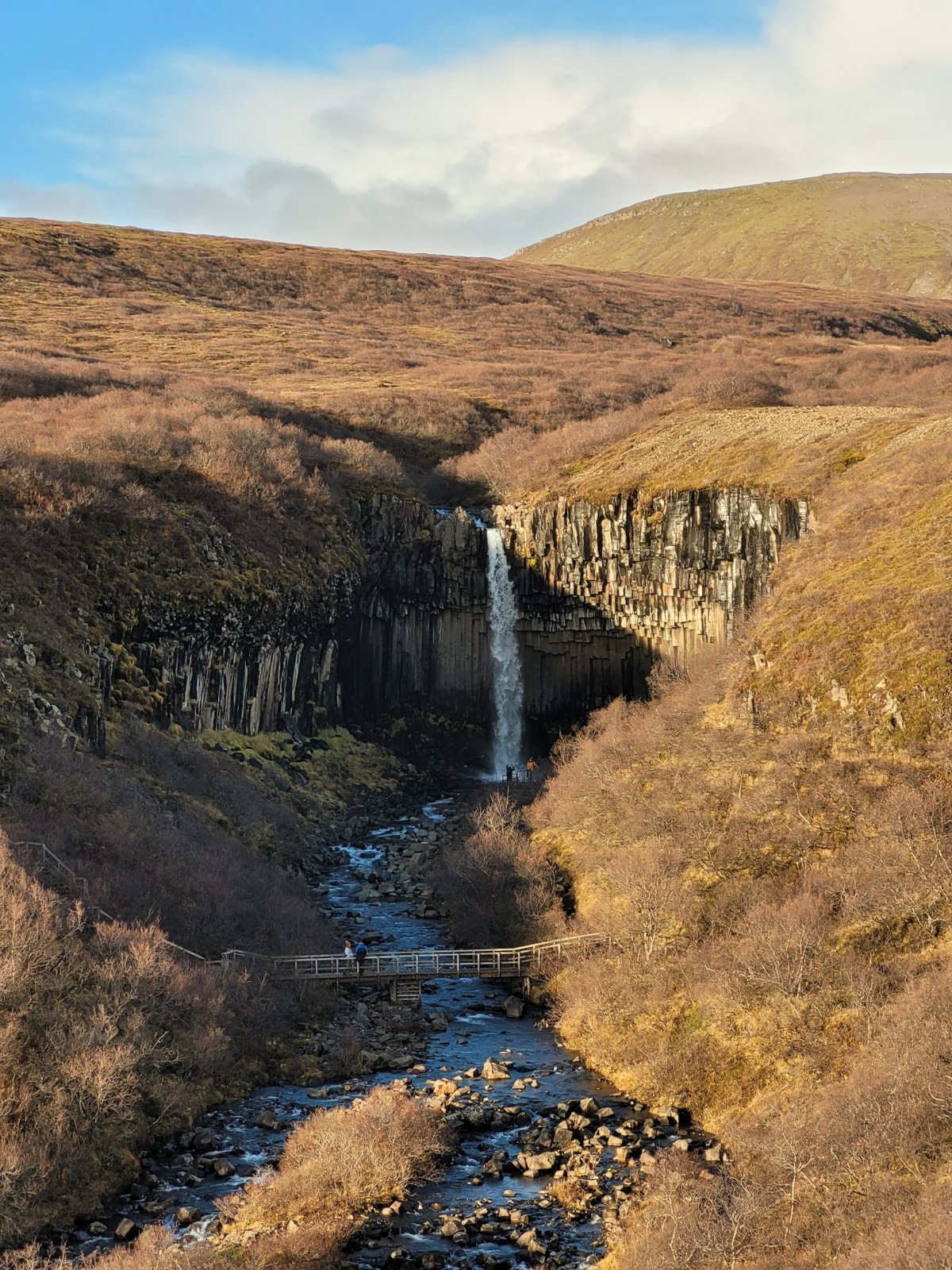 Svartifoss