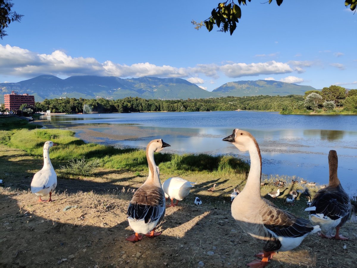 Grand Park of Tirana