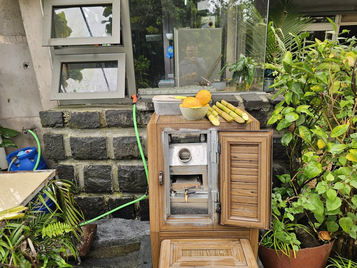 Šťáva z cukrové třtiny