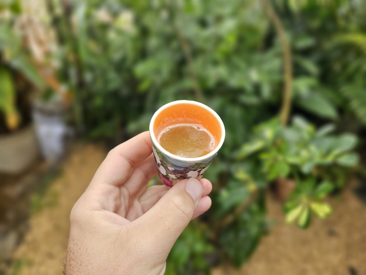 Šťáva z cukrové třtiny