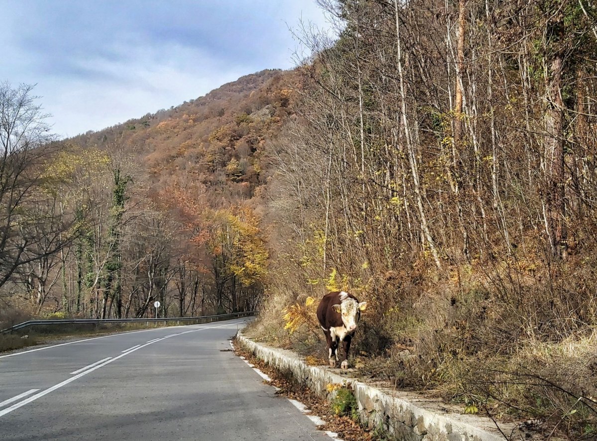 cesta k pyramidám u obce Stob