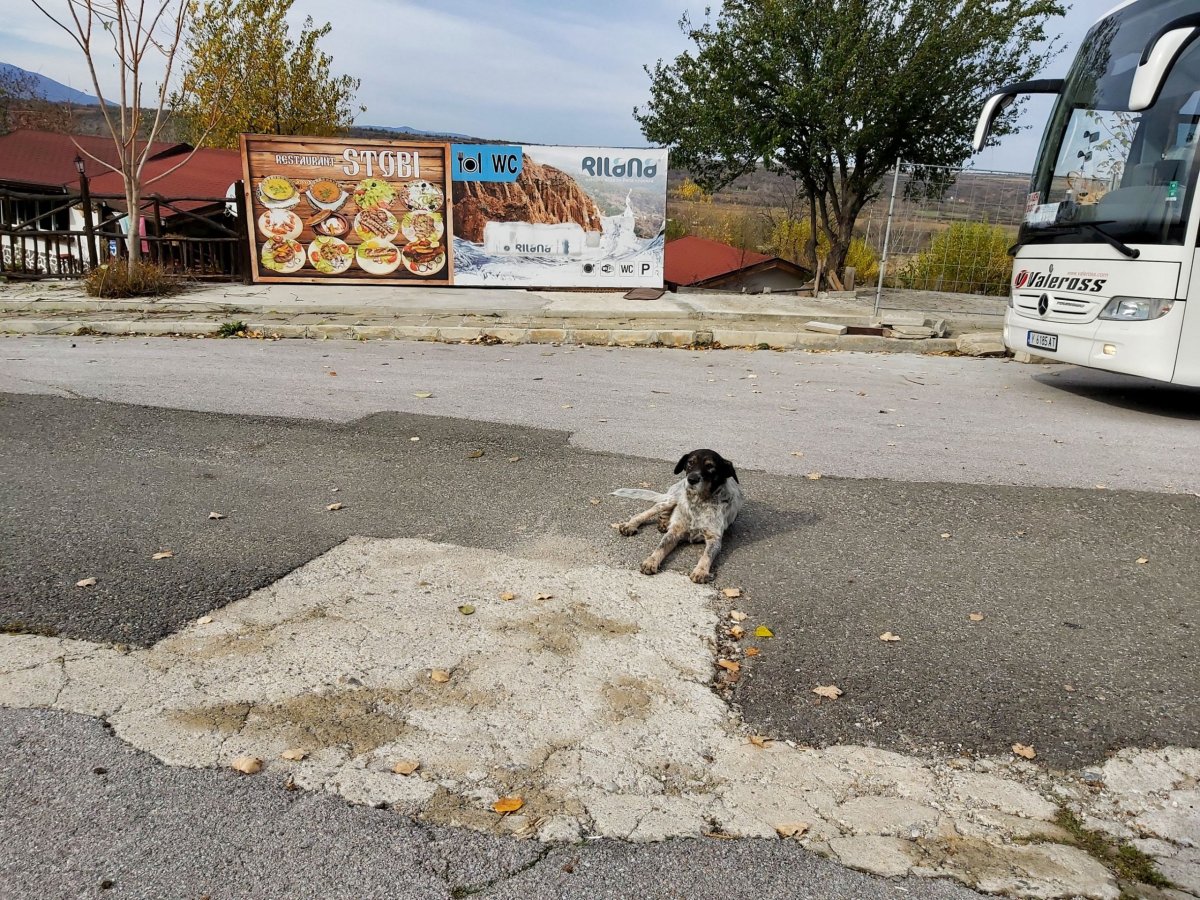 hlídač parkoviště