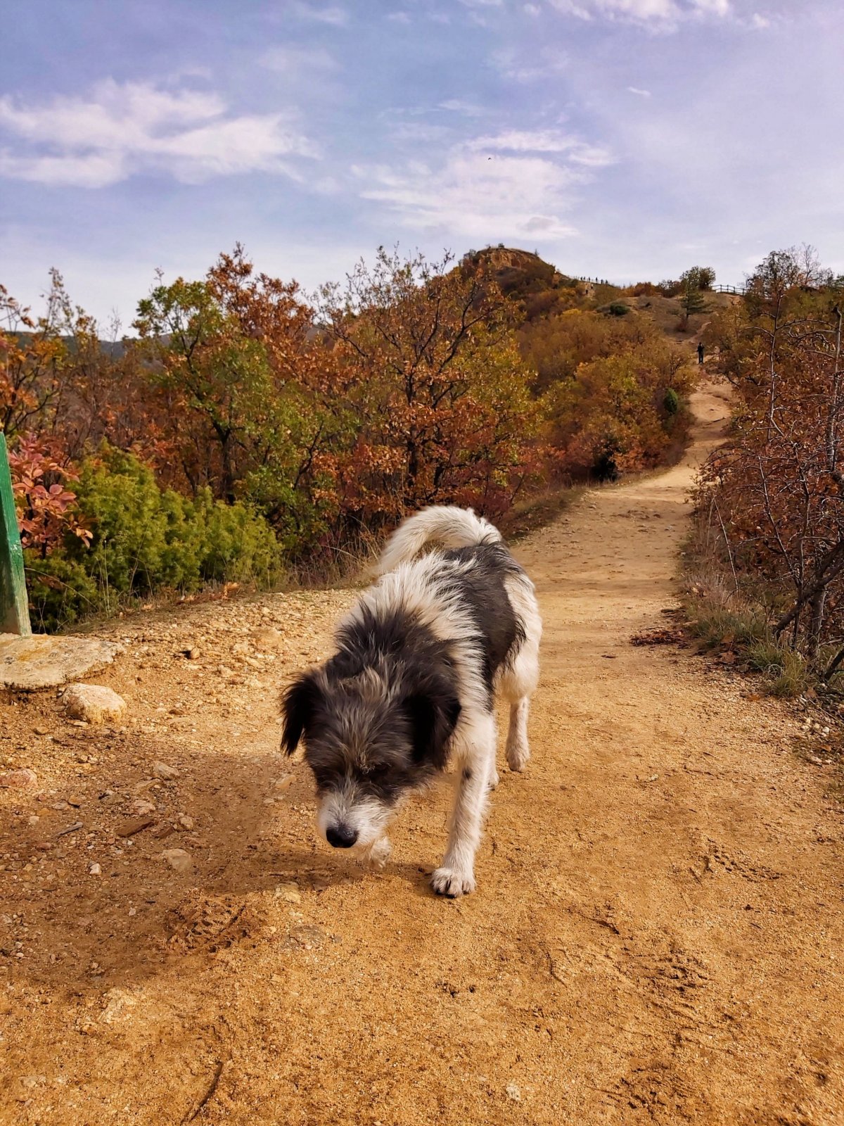 ...bez průvodce já už to prostě neumím ♥