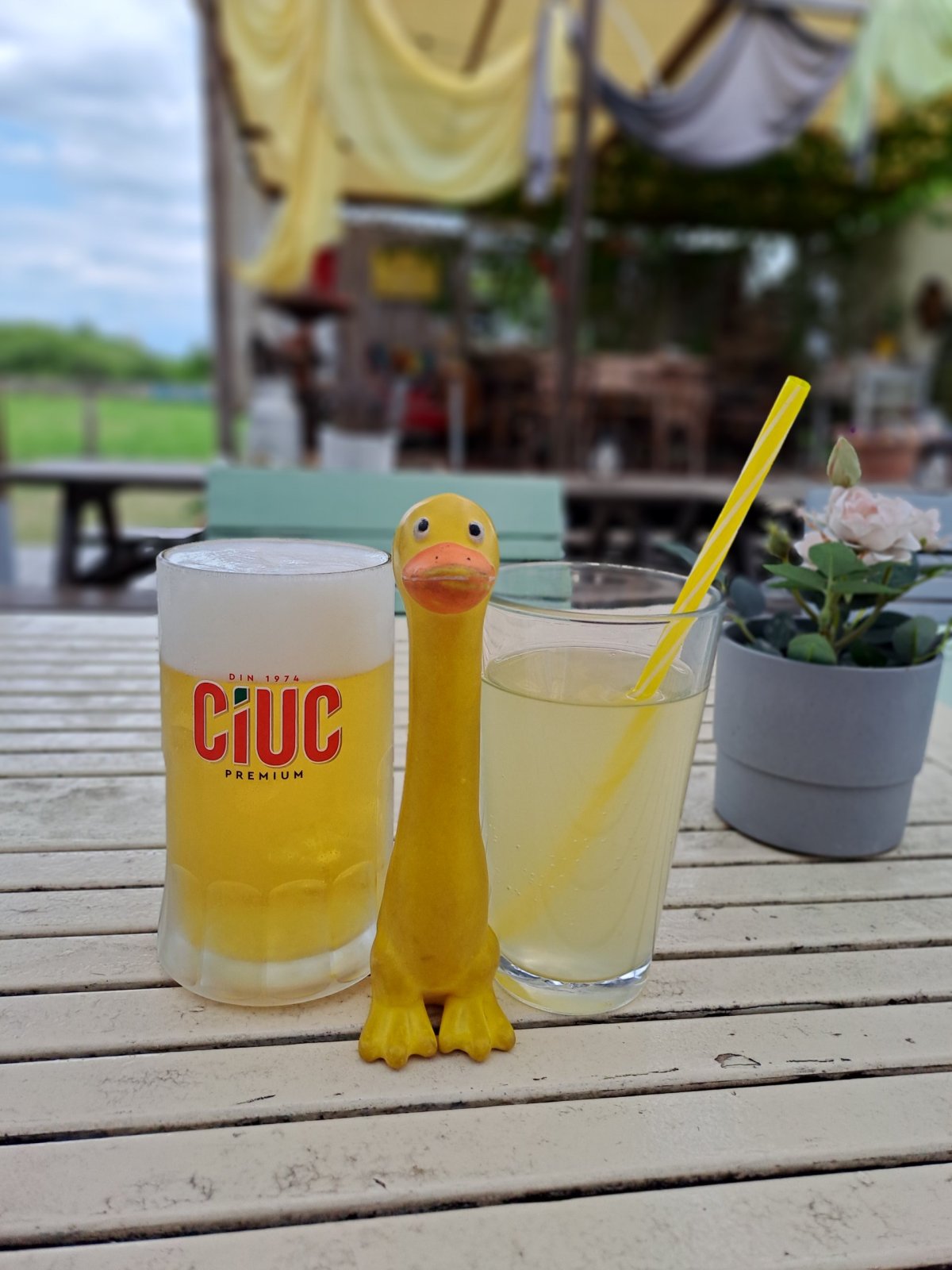 Já si ciucnu!
