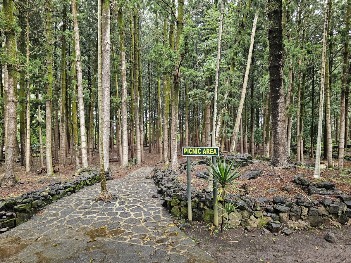 Bras d'Eau National Park