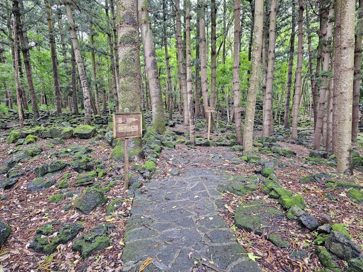 Bras d'Eau National Park, turistická stezka