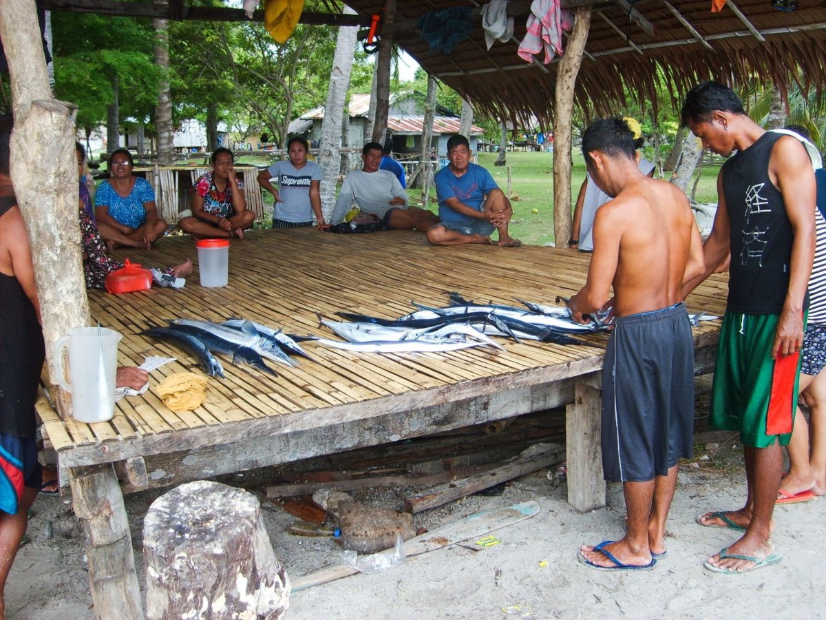 Pamilacan - dnešní úlovek