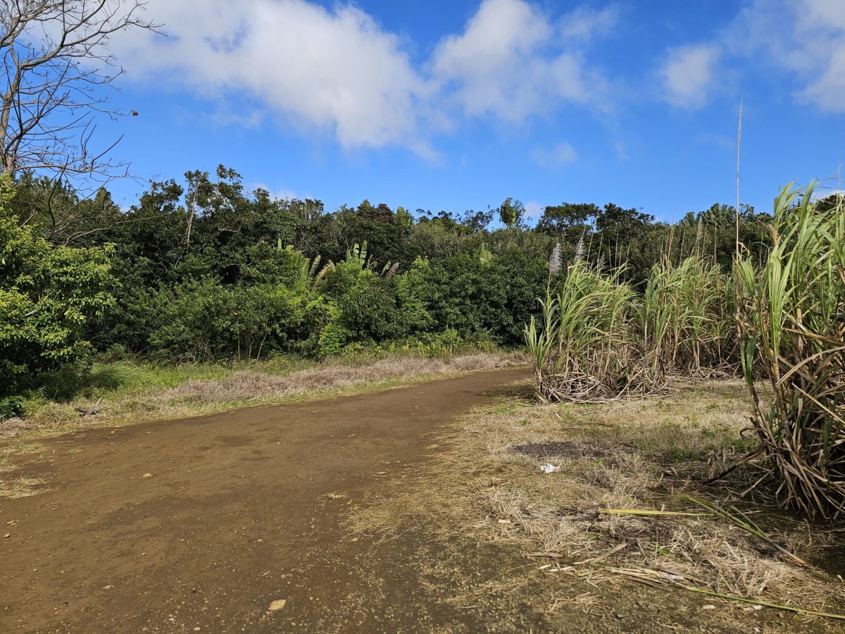 Cesta k Sept Cascades