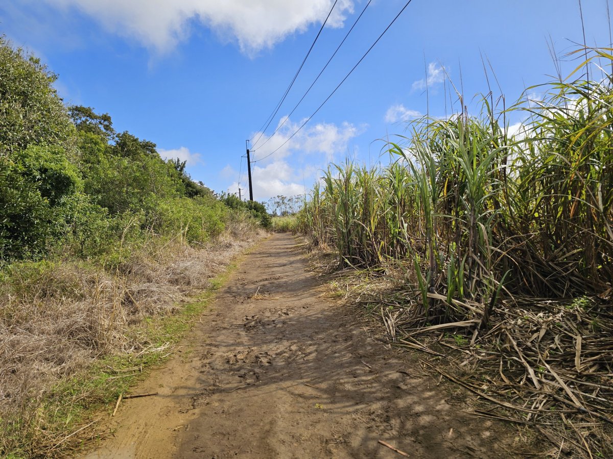 Cesta k Sept Cascades