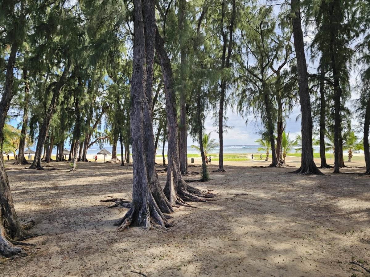 Park u pláže Flic en Flac