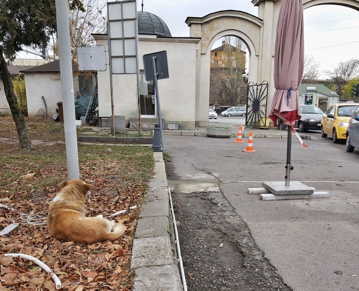 hlídači hřbitova...