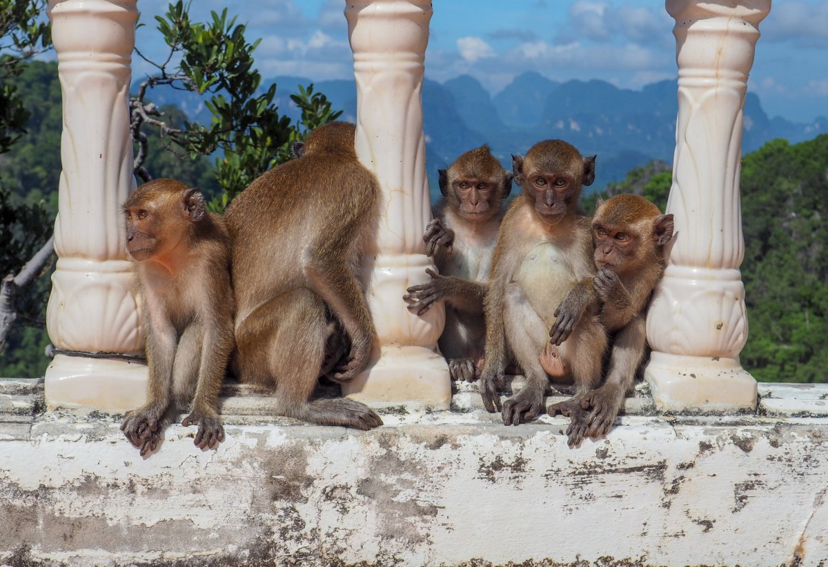 Tiger Cave Temple, Krabi, Thajsko