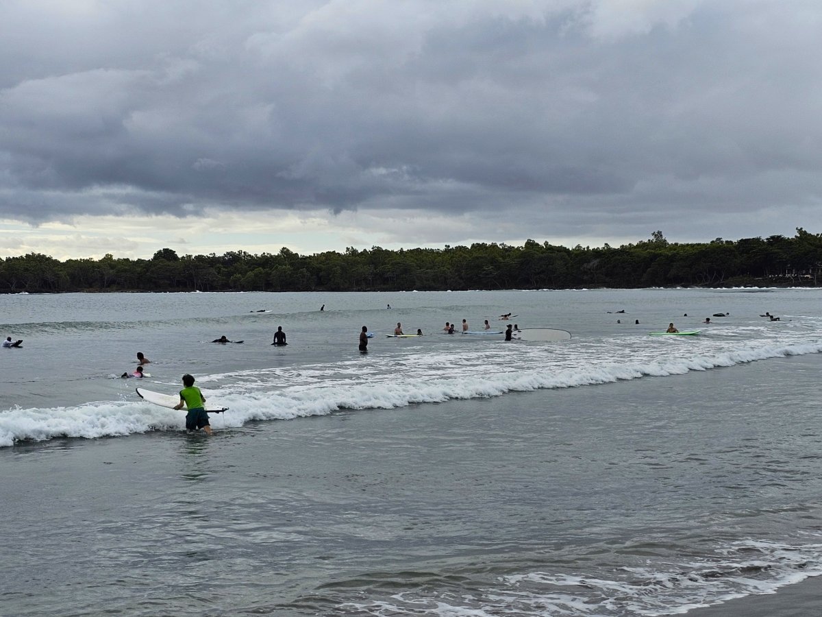 Surfování v Tamarin