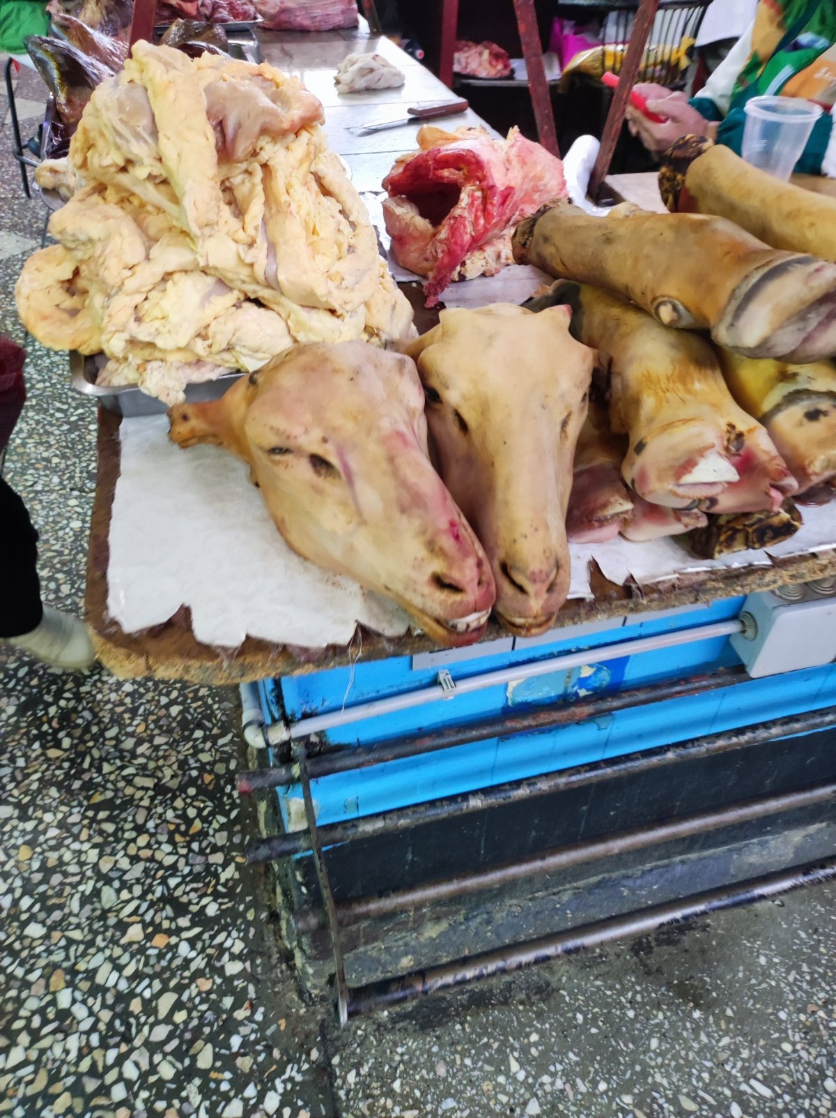 Koupit lze opravdu vše