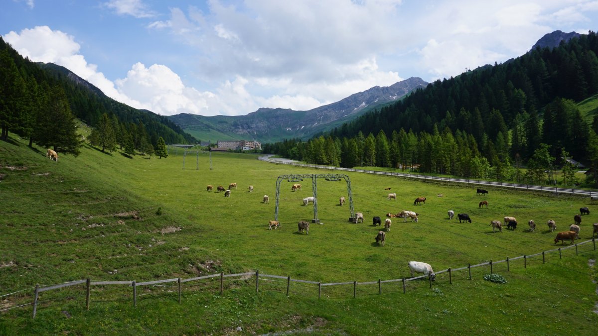 Výhled z ubytování