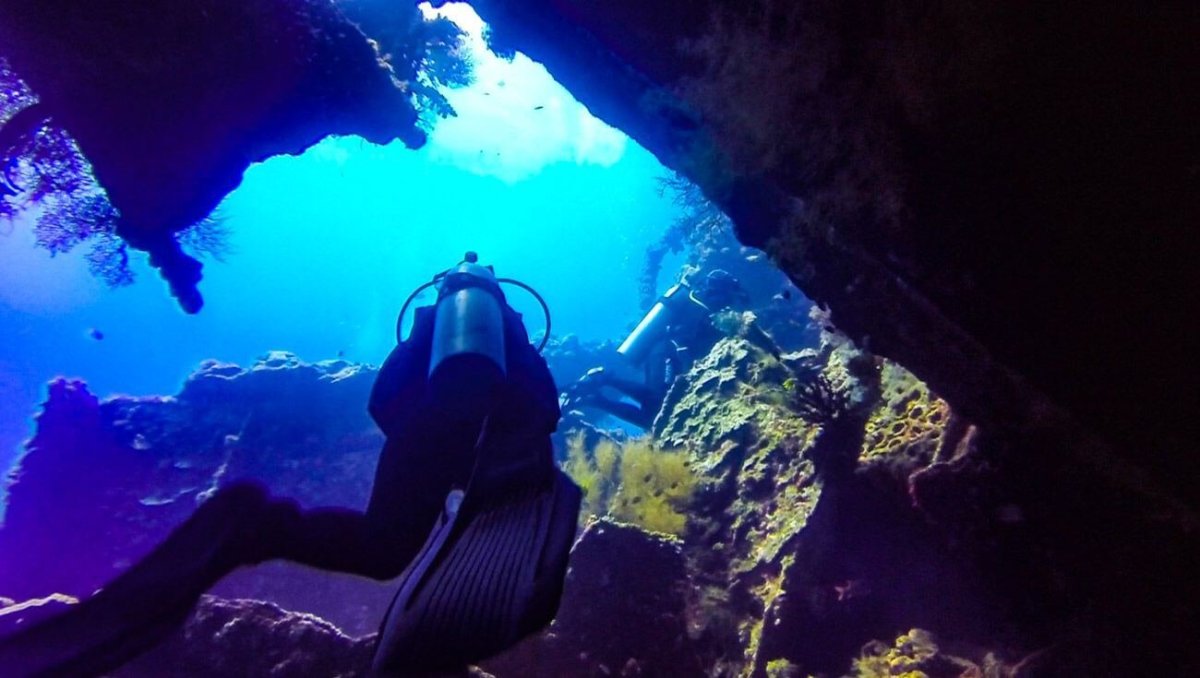Vrak jsme proplavali křížem krážem.