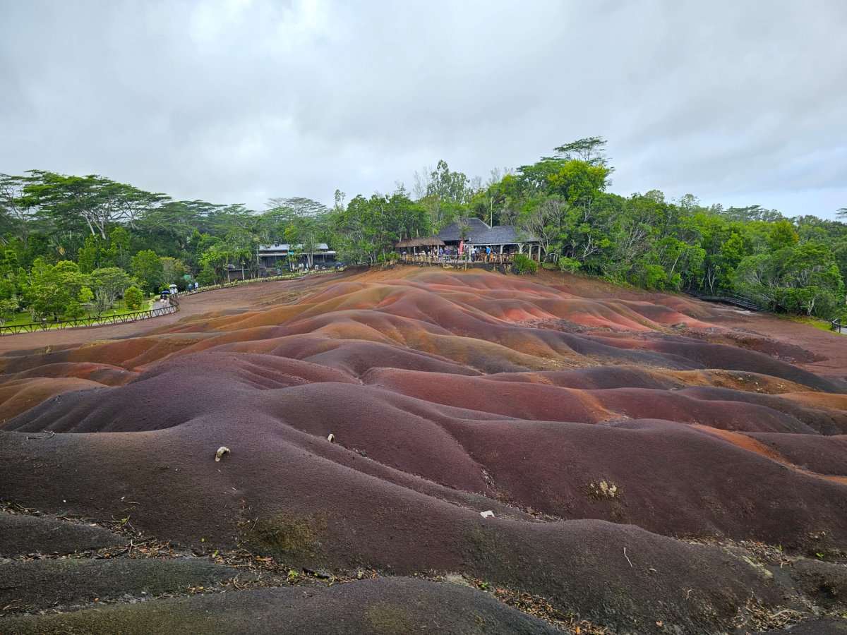 Sever Colored Earth, Chamarel