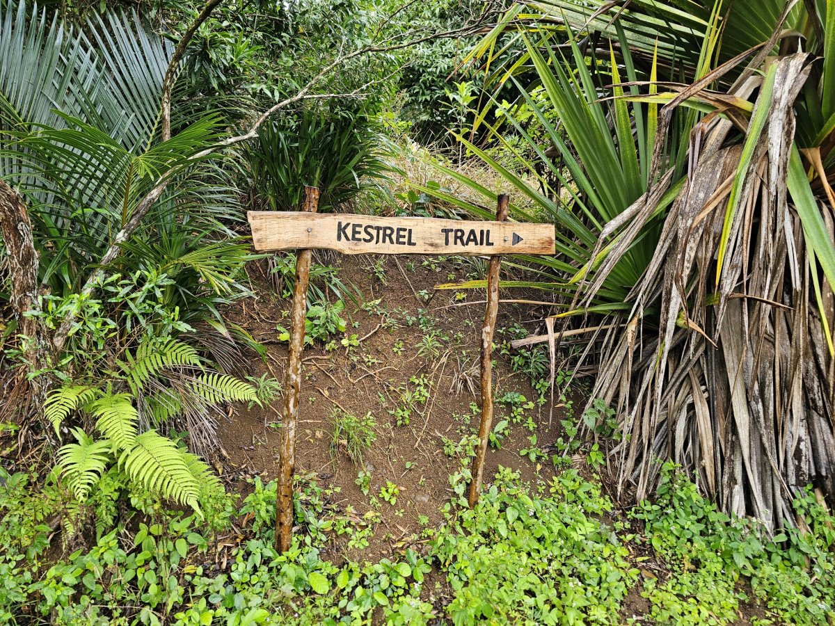 Značení stezek v Ebony Forest