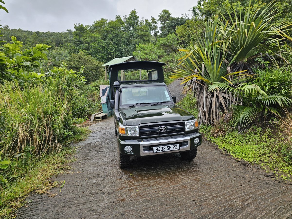 Jeep v Ebony Forest