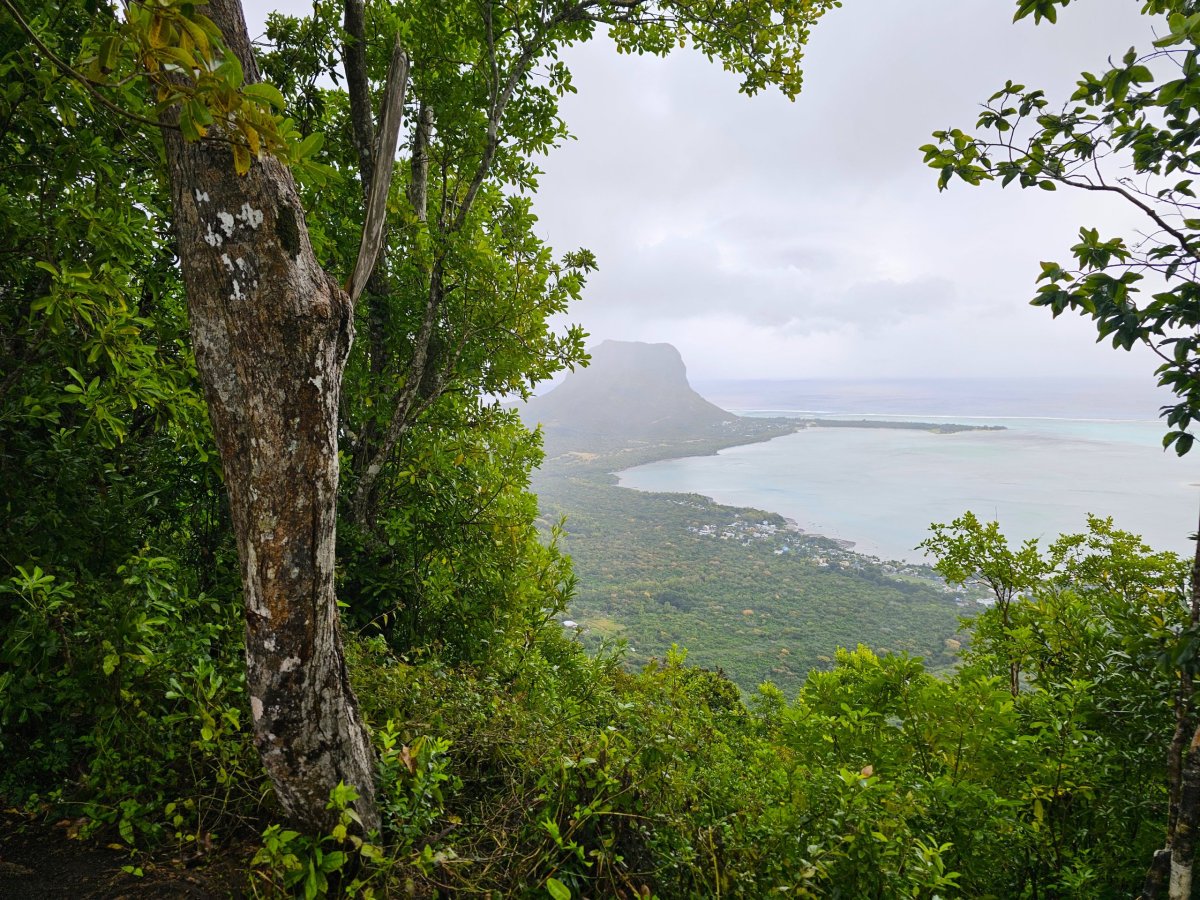 Ebony Forest, výhled na Le Morne