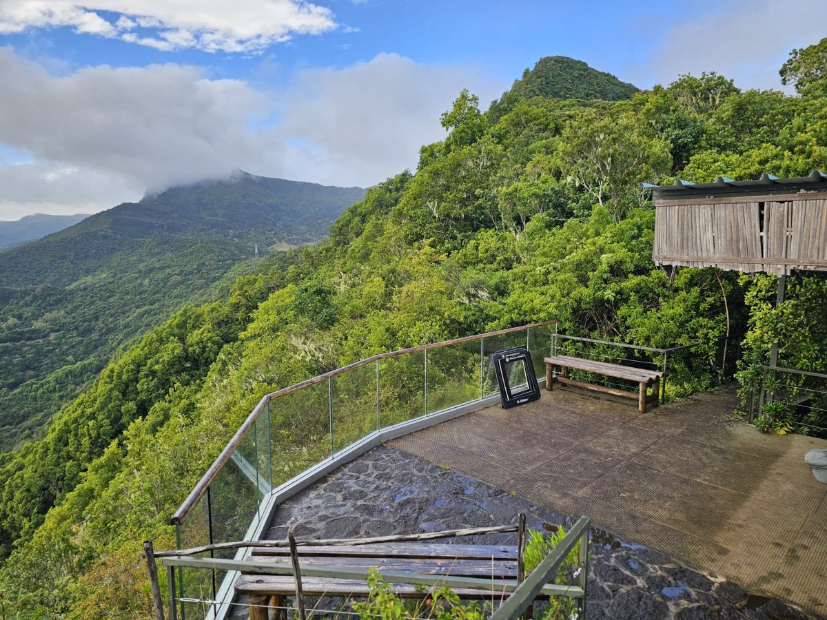 Výhled od kavárny v Ebony Forest