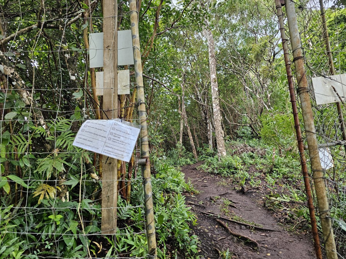 Vstup na Piton du Canot