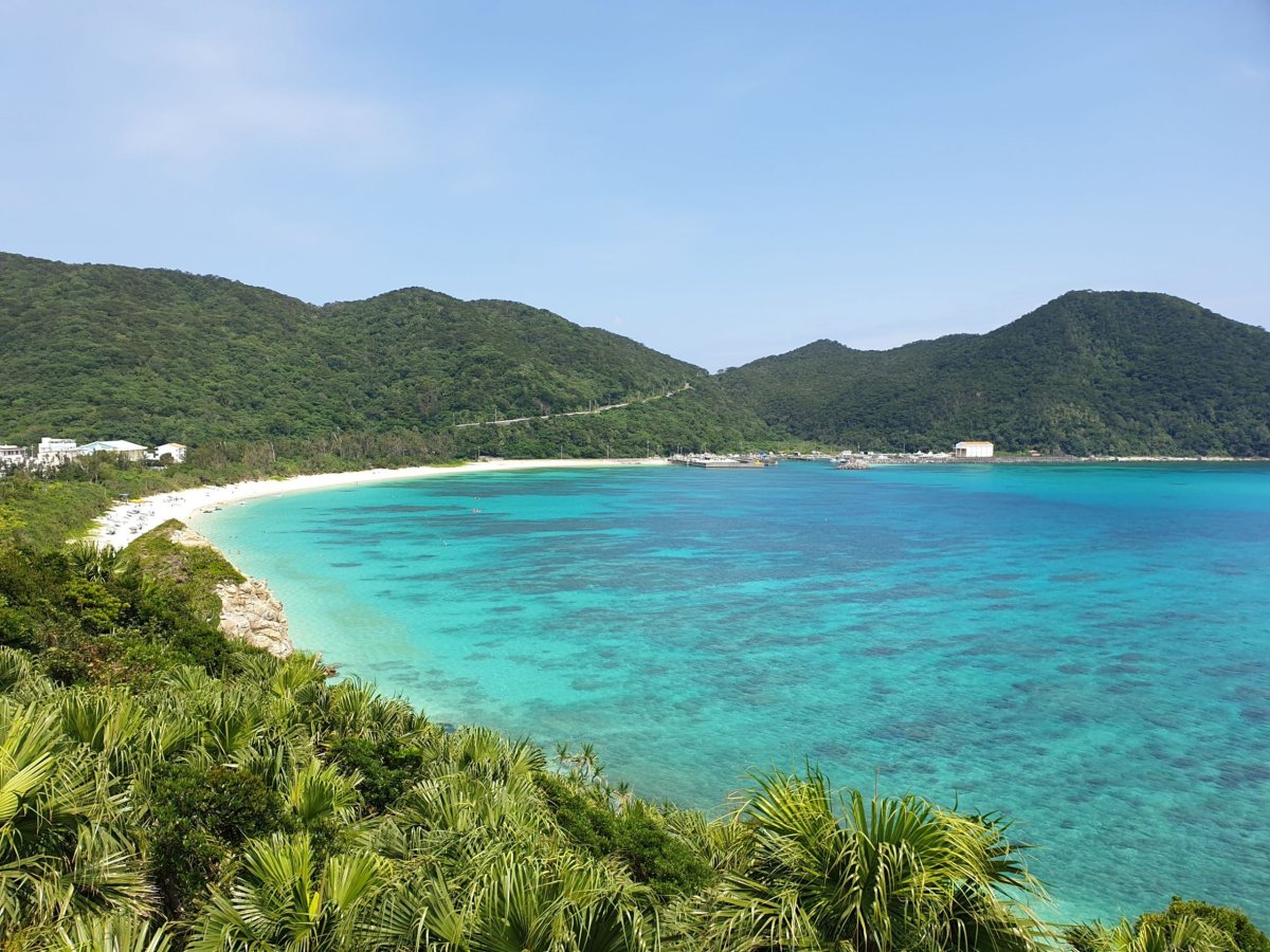 Hlavička uživatele