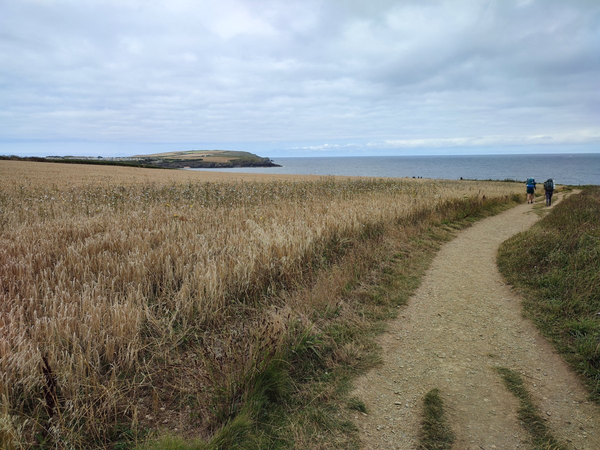 Pohled k Harlyn Bay