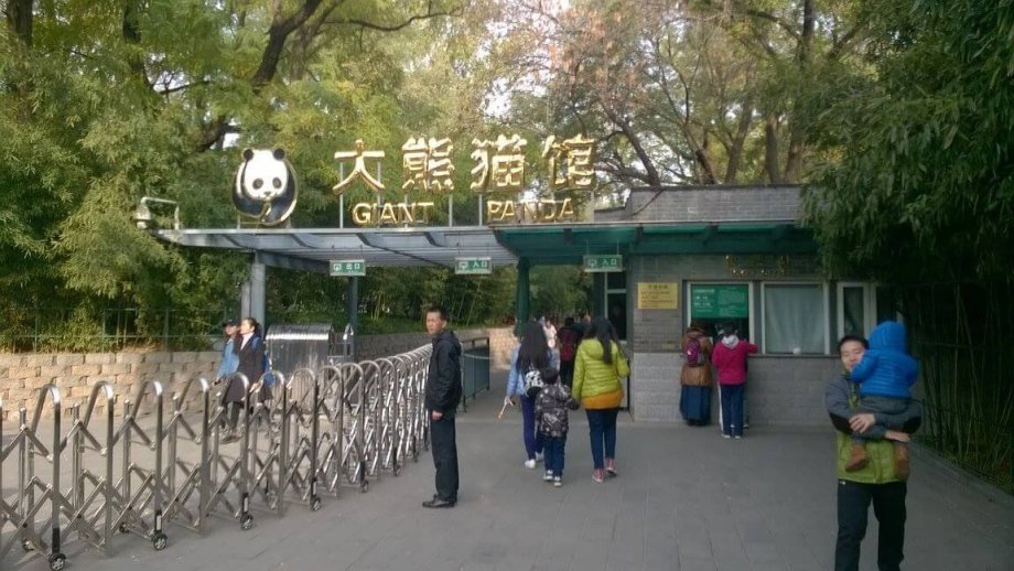 Pekingská zoo