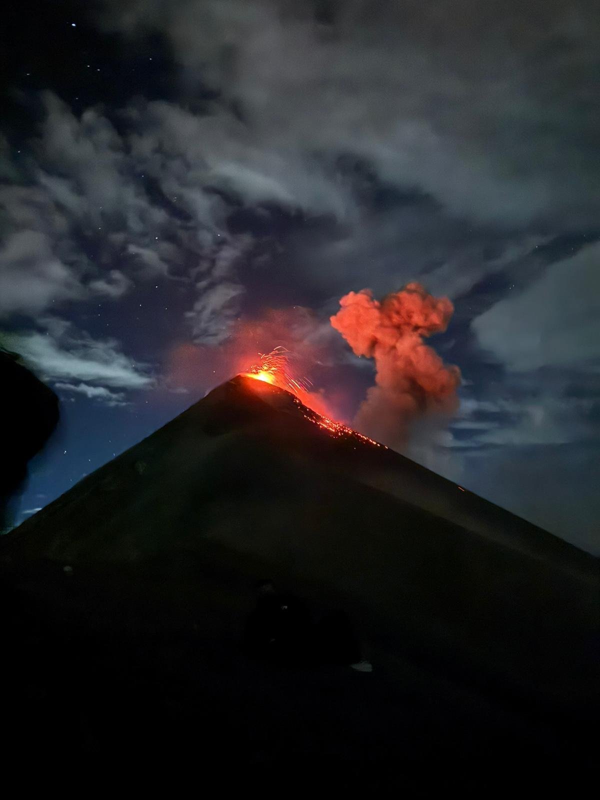 A všichni pištěli jak diví