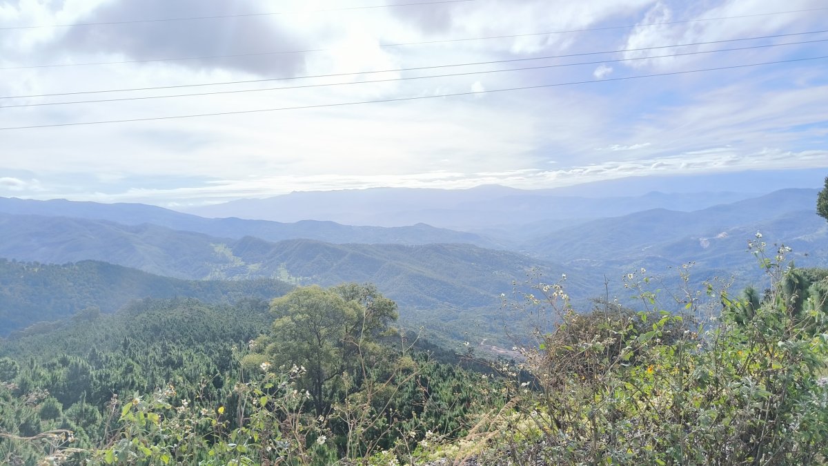 Cesta z El Rancho do Biotopo del Quetzal