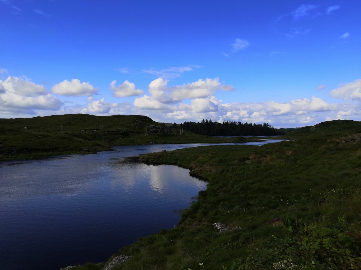 Krajina okolo silnice do NP Connemara