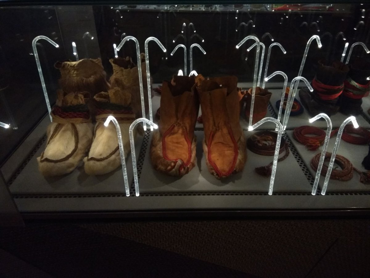 z expozice o laponsku