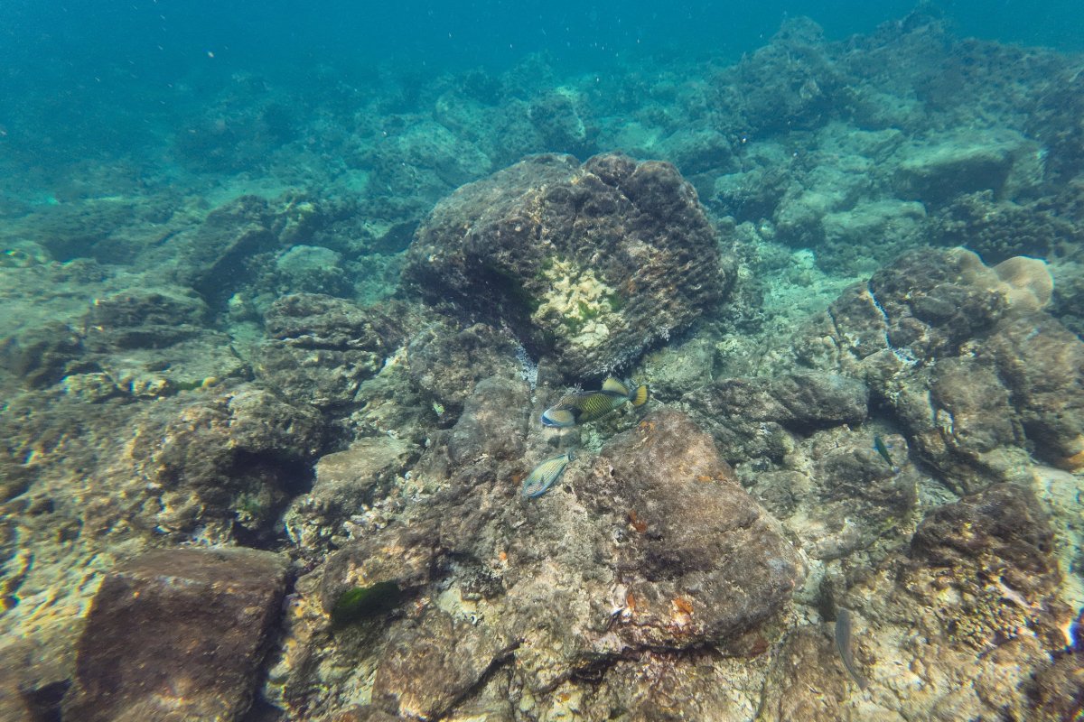 Ostrovy Haa a Rok pod vodou