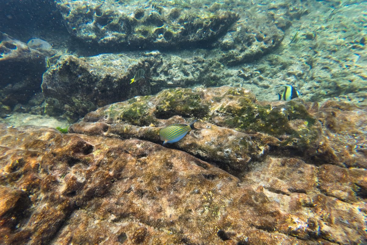 Ostrovy Haa a Rok pod vodou