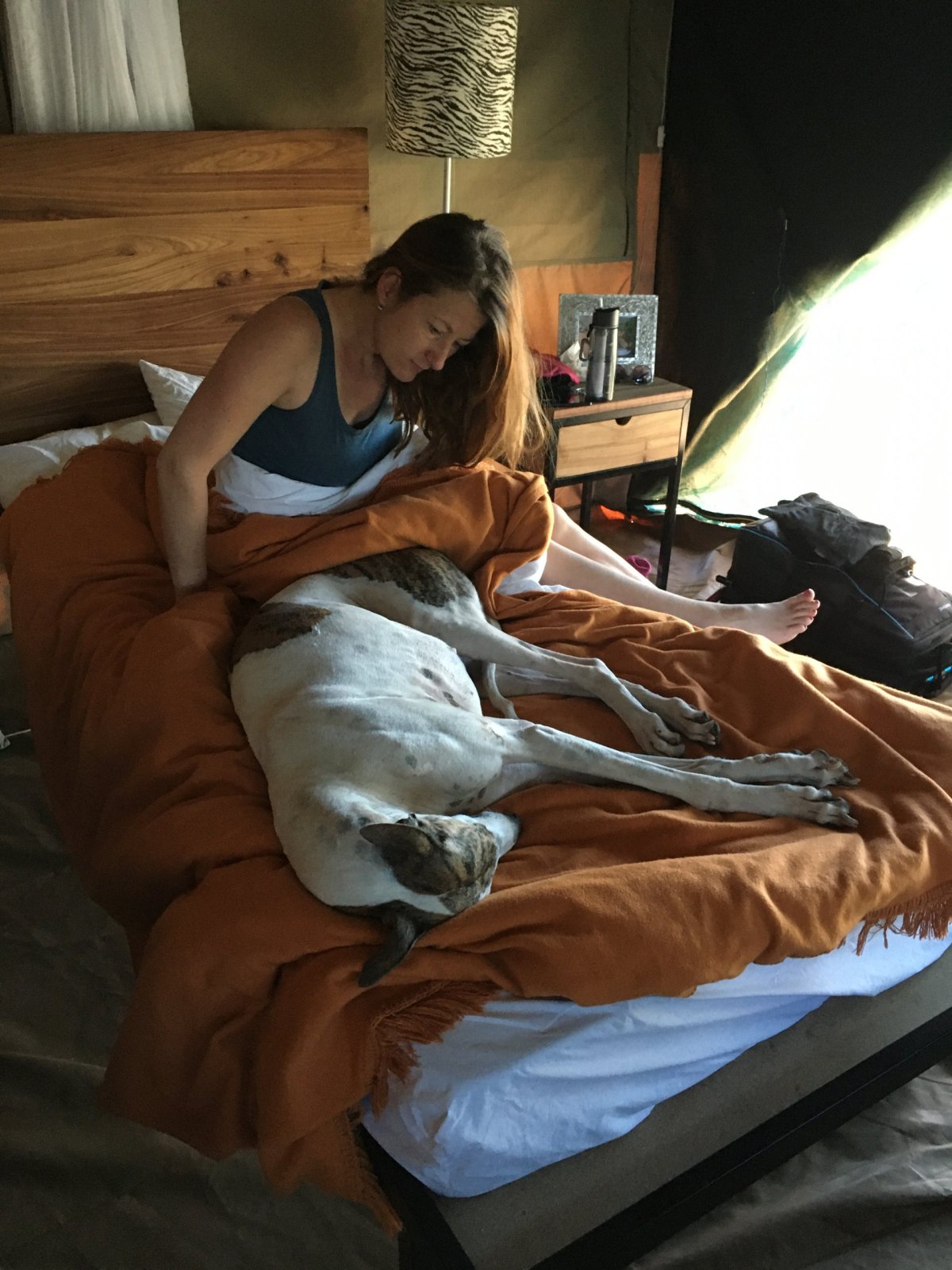 ...a ráno se divíš