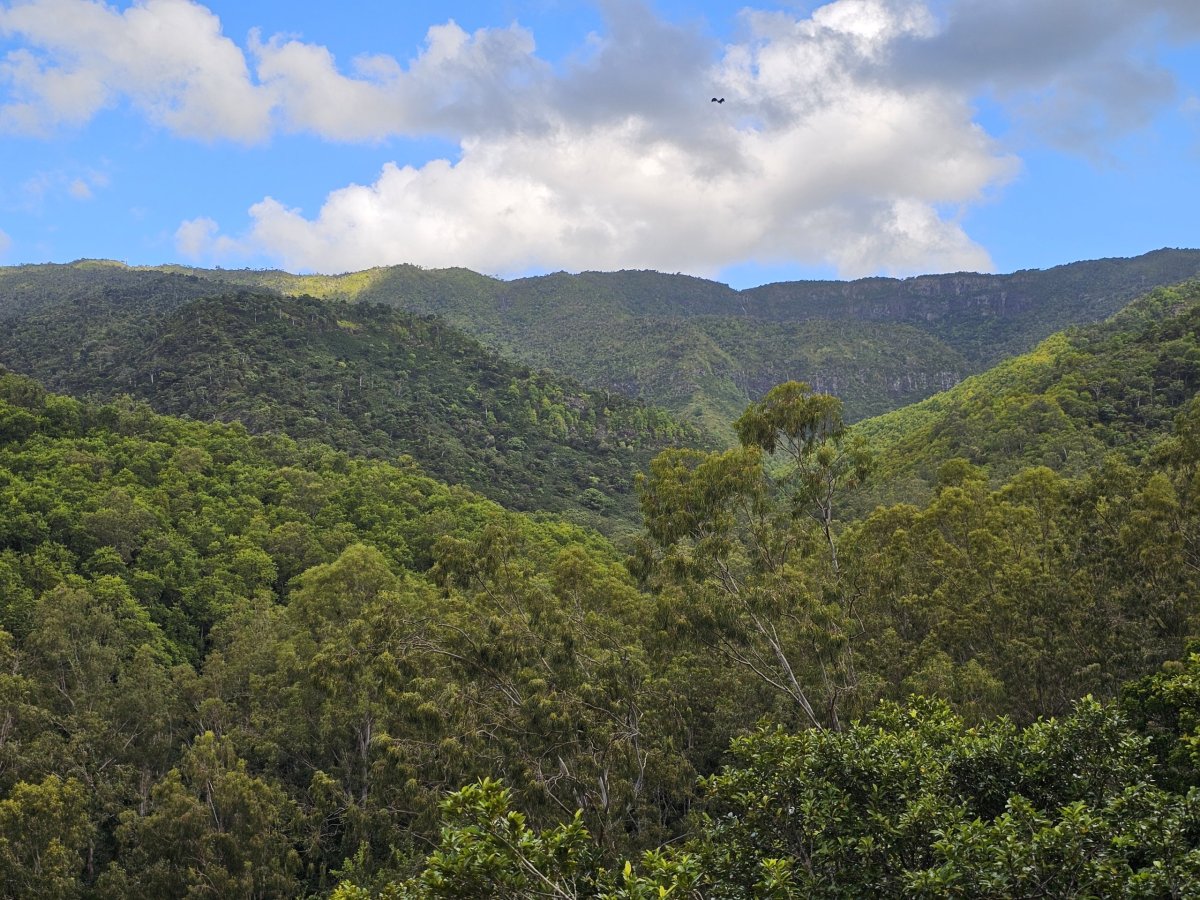 Black River Gorges NP