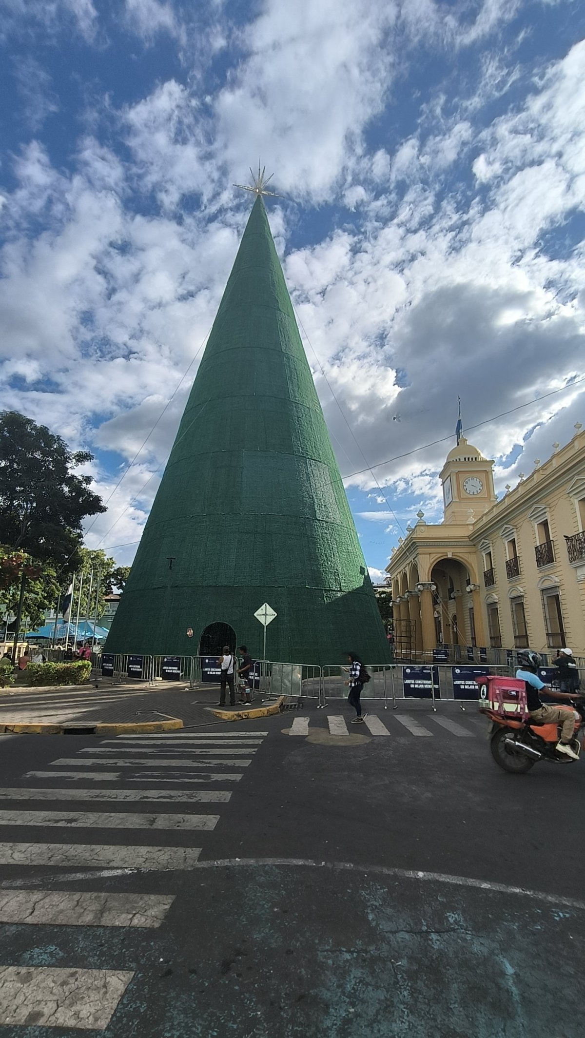 Vánoční stromek v Santa Ana