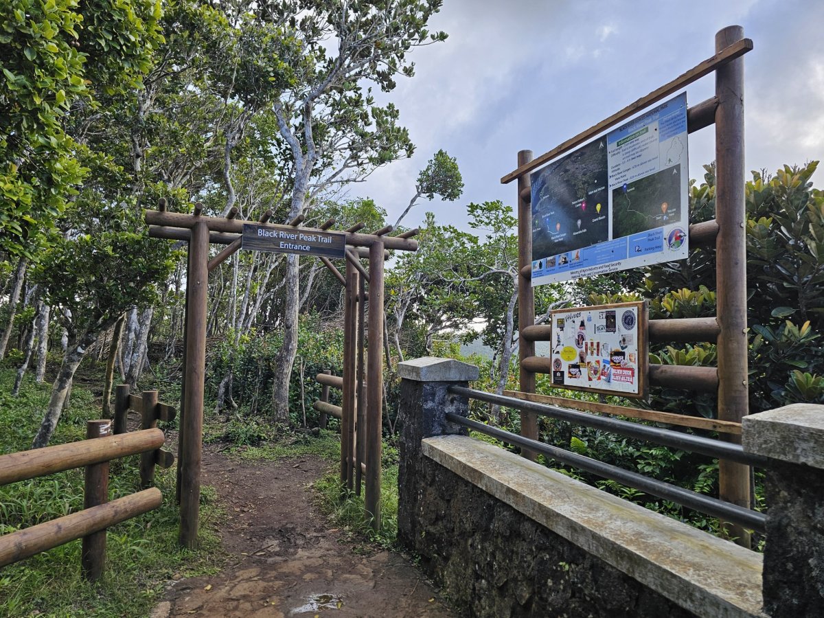 Black River Peak Trail
