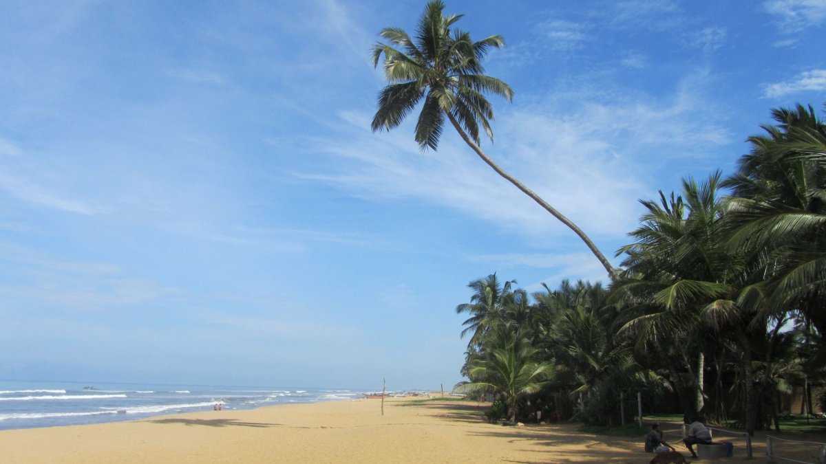 Hlavička uživatele