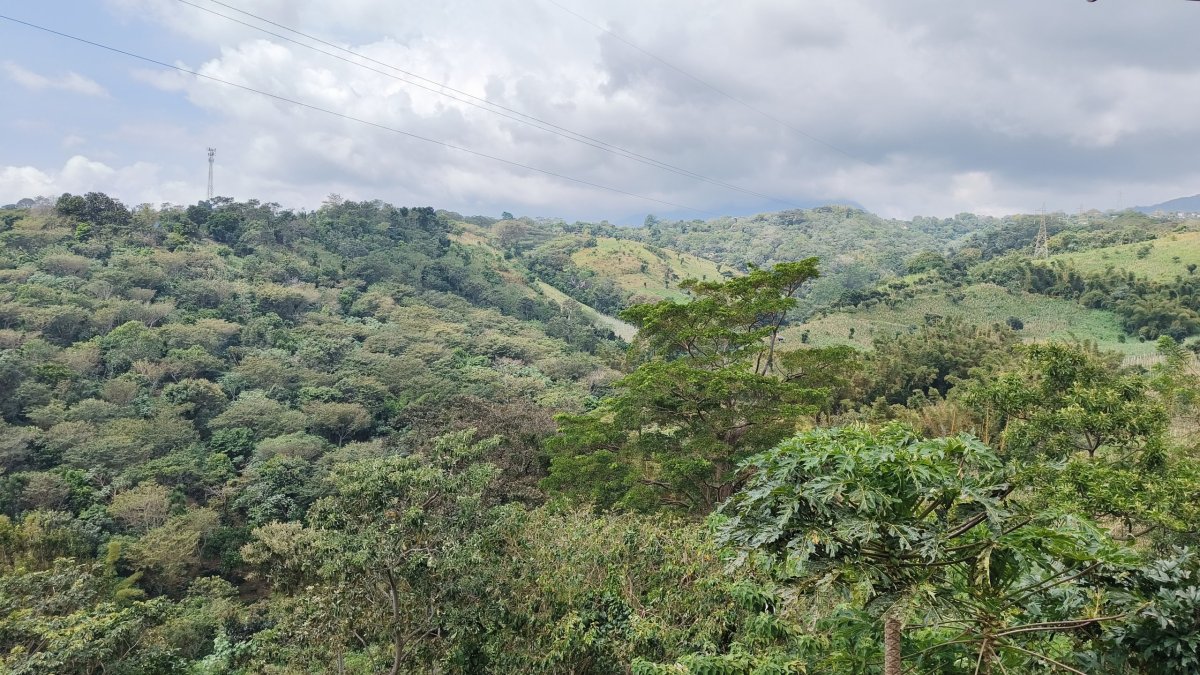 Výhled na okolí z Restaurante bella Vista