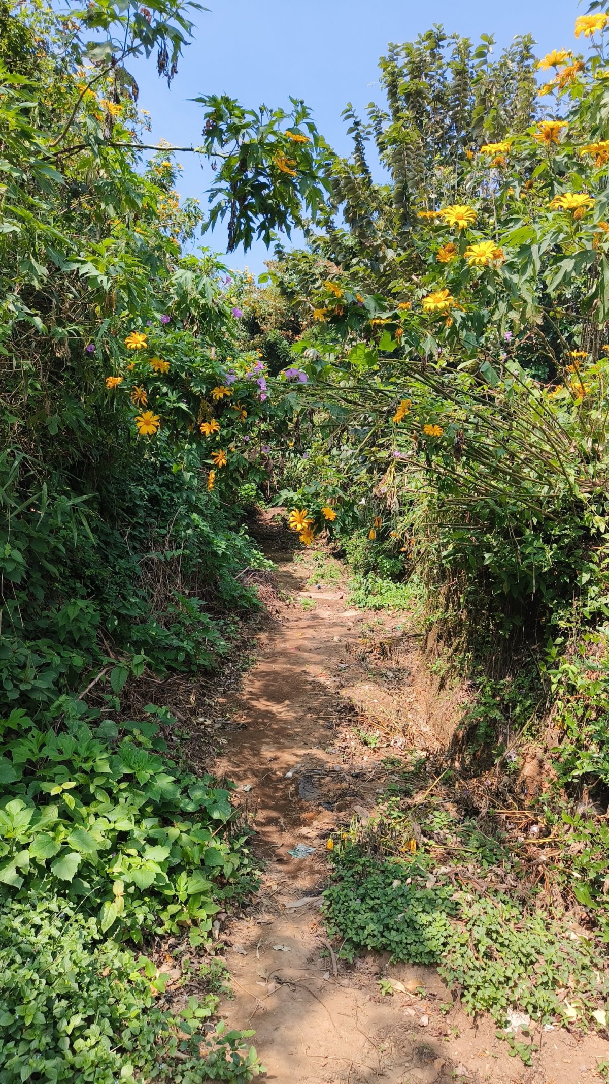 Cestou z hřbitova na hlavní cestu