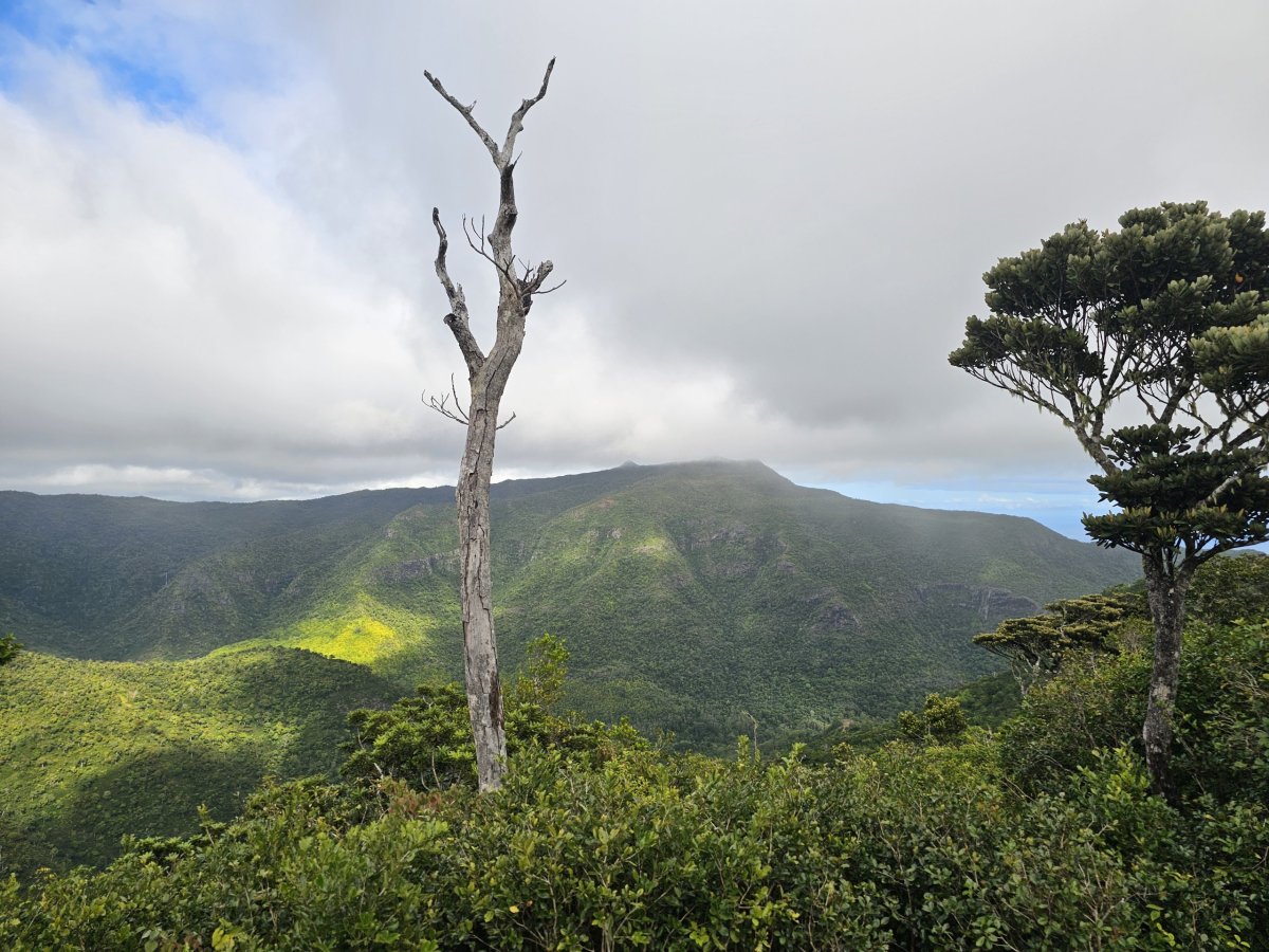 Výhled z Machabee Loop