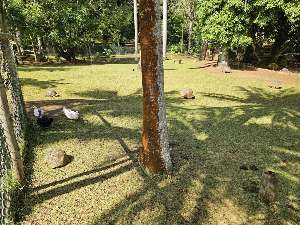 Saint Aubin, minifarma