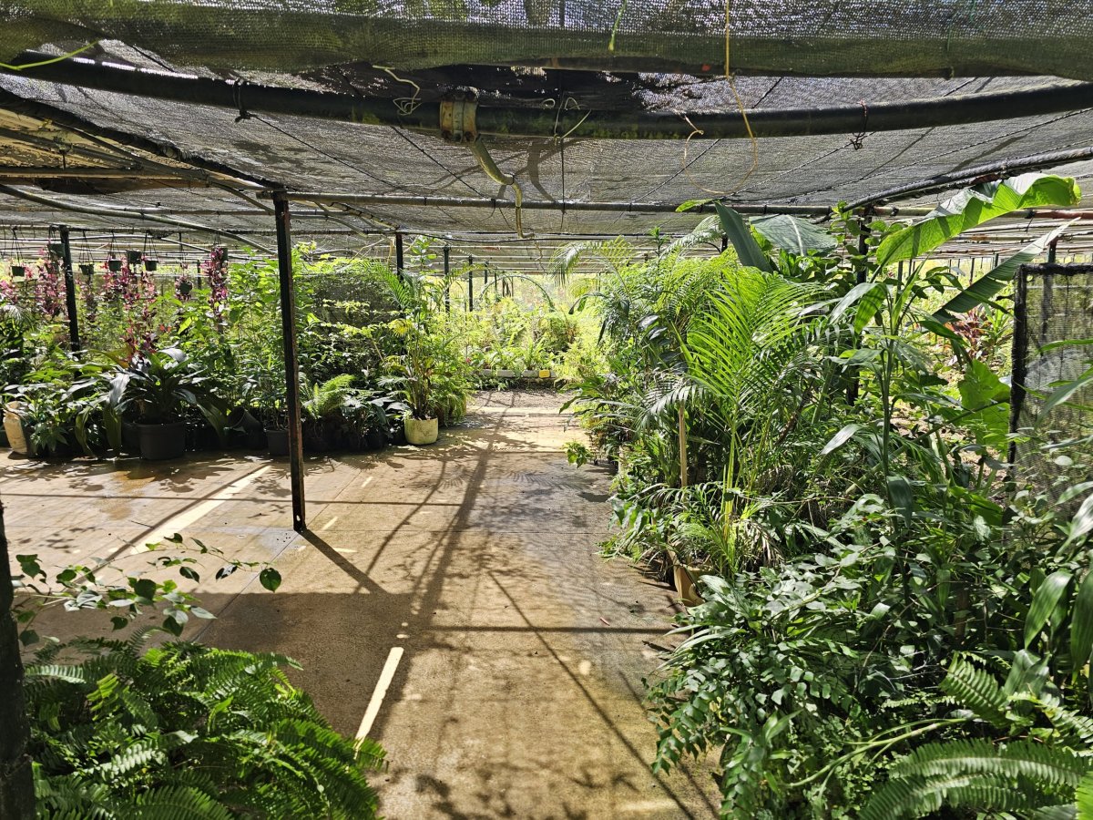 Saint Aubin, vanilková plantáž