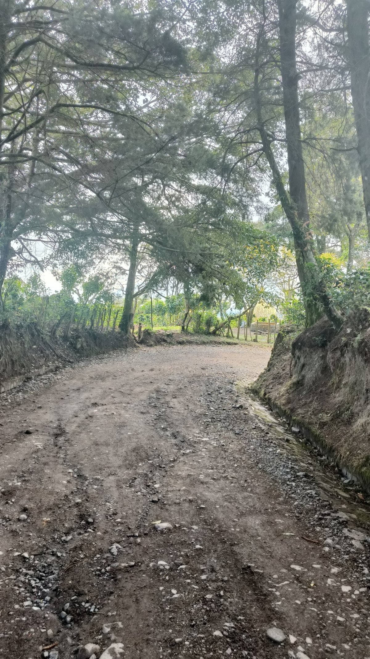 Cestička k Laguna Verde