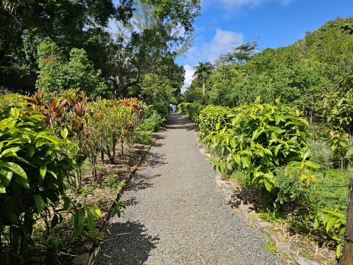 Saint Aubin, botanická zahrada