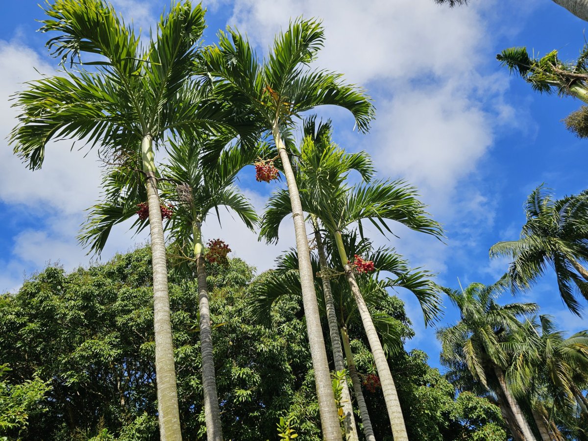 Saint Aubin, botanická zahrada