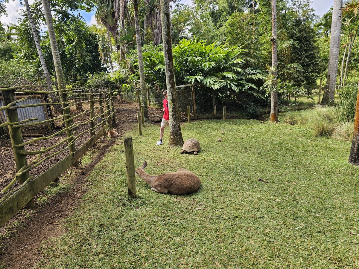 Saint Aubin, minifarma